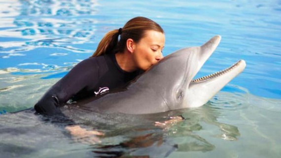 Интересное: Дельфины