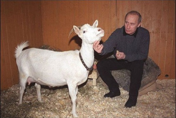 Интересное: Подарки Путину