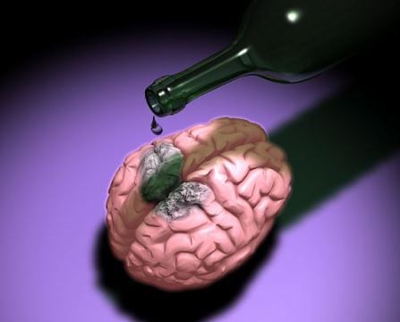 Жизнь: Миф: алкоголь убивает клетки мозга