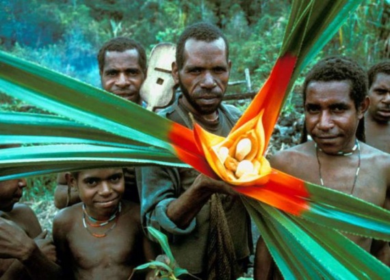 Страны: Папуасы