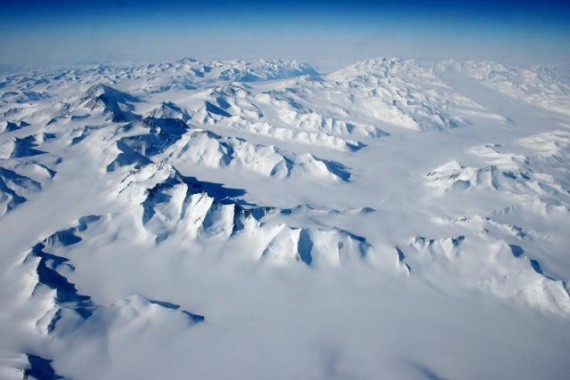 Страны: Антарктида