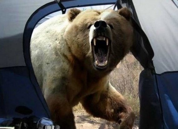 Полезные советы: Если напал медведь