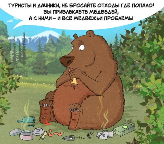 Животные: Факты о медведях