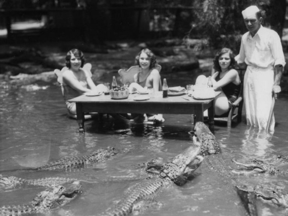 Животные: Человек и крокодил