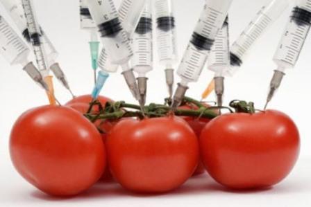 Закон: ГМО больше не будет