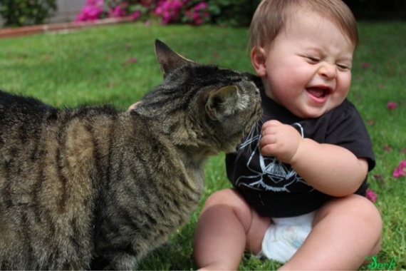 Животные: Дети и кошки