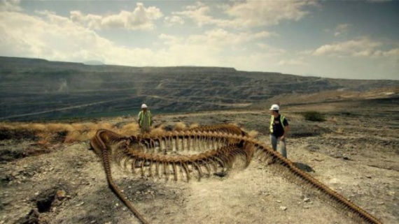Интересное: Десять ископаемых гигантов