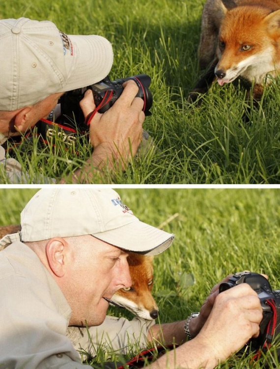 Животные: Фотоохота