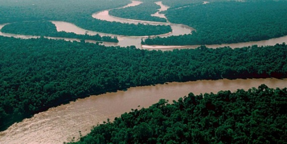 Природа: Амазонка