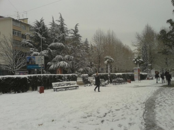 Блог djamix: В Адлере зима:-)