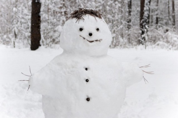 Интересное: Снежный человек
