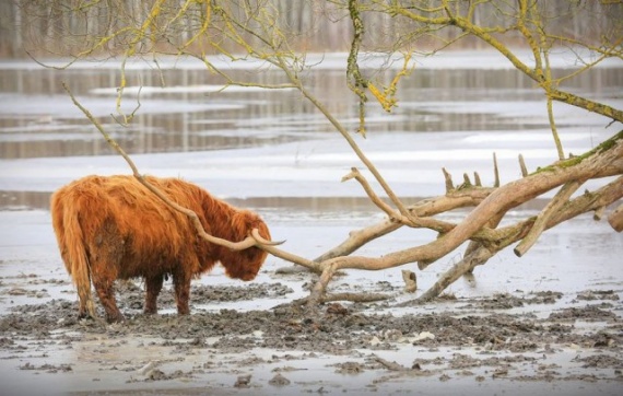 Природа: Волшебный парк Соомаа в Эстонии