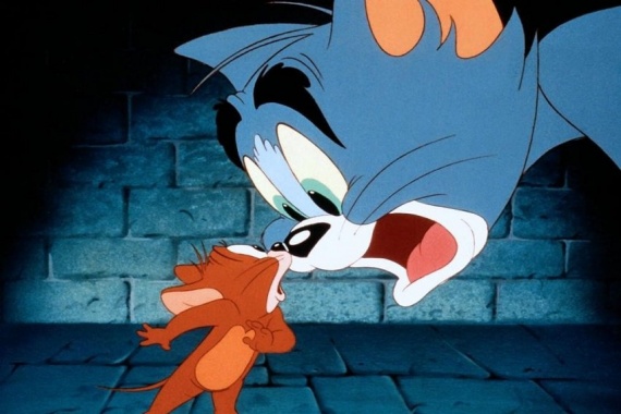 Безумный мир: Кота Тома и мышонка Джерри обвинили в пособничестве терроризму