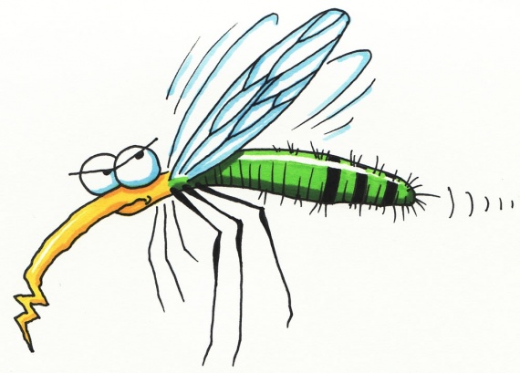 Интересное: Как кусает комар