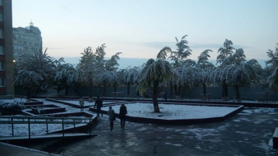 Природа: А в Омске уже зима...