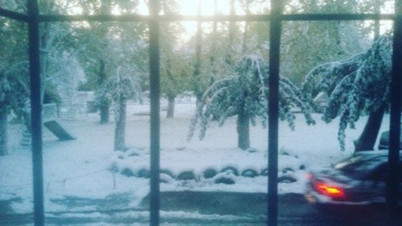 Природа: А в Омске уже зима...