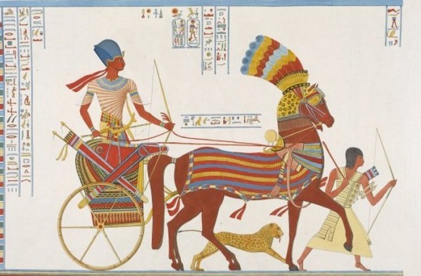 История: Священные животные Египта
