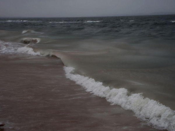 Природа: Черное море у Крыма начало замерзать