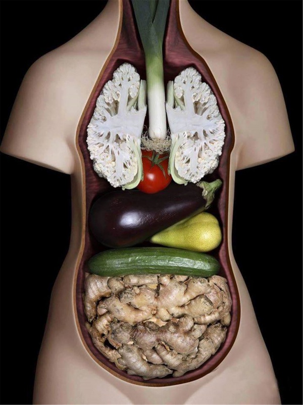 Здоровье: Вегетарианские мифы