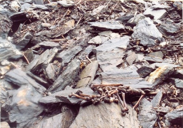Интересное: Озеро Скелетов в Гималаях