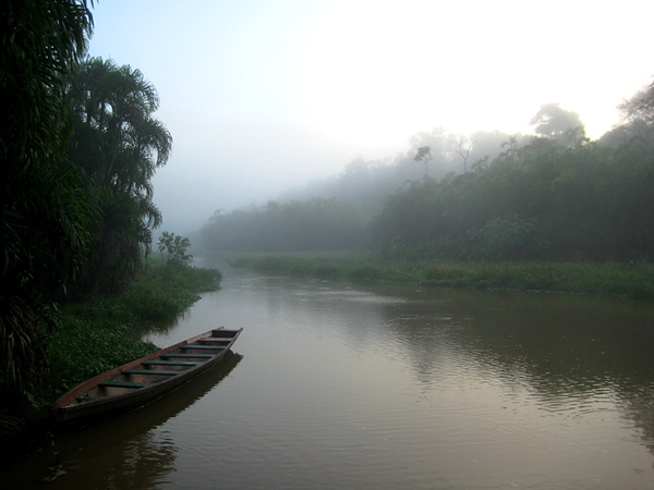 Путешествия: Прогулка по Амазонке