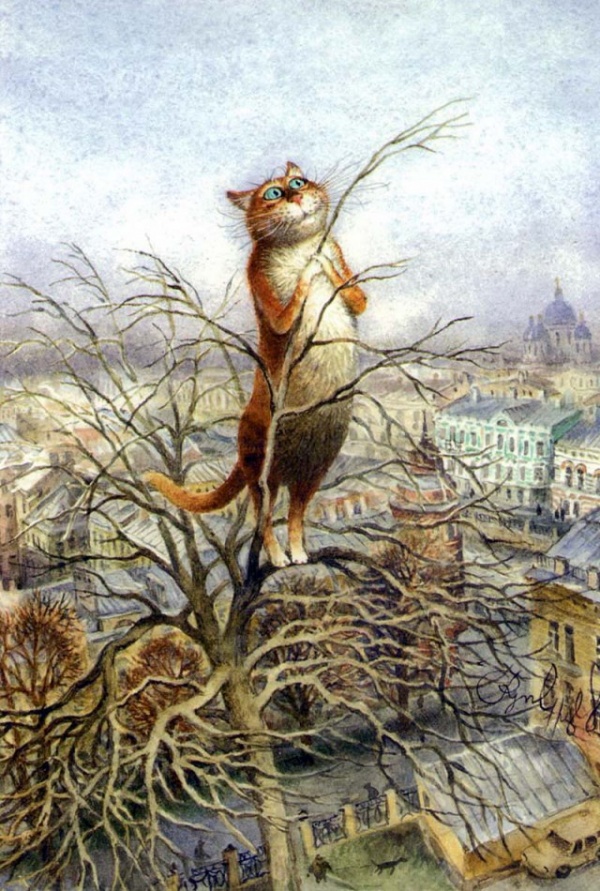 Картинки: Петербургские кошки Владимира Румянцева