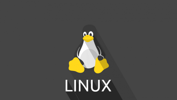 Технологии: Ядру Linux исполнилось 27 лет