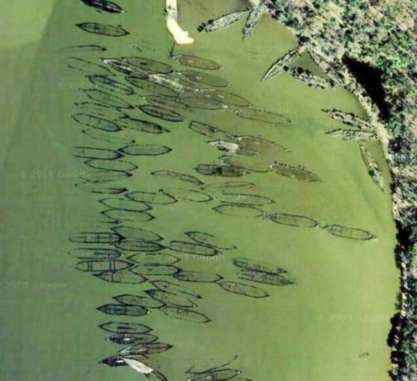 Интересное: Призрачный флот на реке Потомак