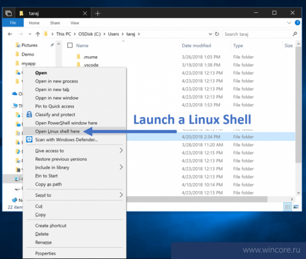 Технологии: Windows 10 October 2018 Update: новшества для Подсистемы Windows для Linux