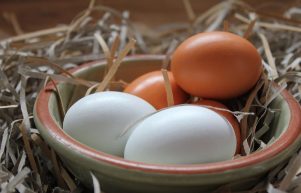 Интересное: Чем отличаются белые яйца от коричневых