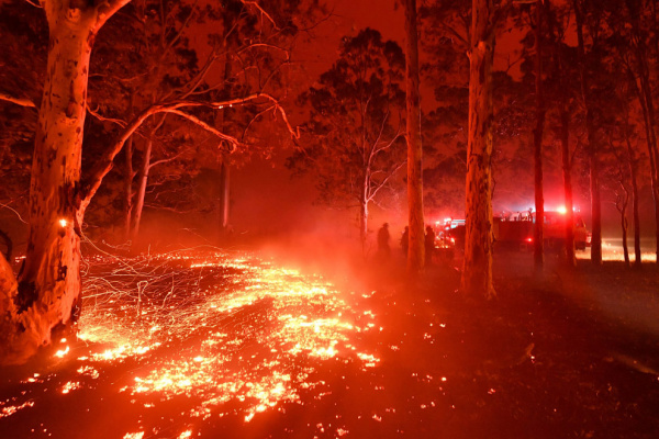Природа: В Австралии бушуют лесные пожары