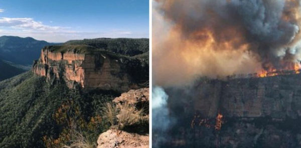 Происшествия: Пожары в Австралии. До и после