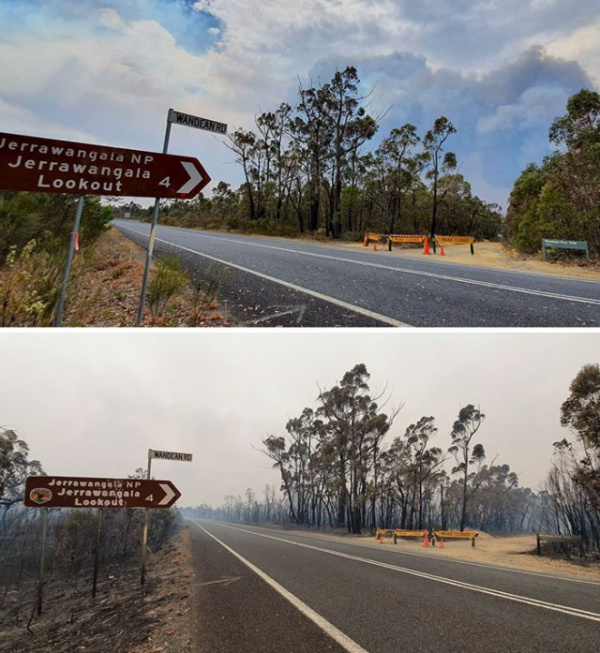 Происшествия: Пожары в Австралии. До и после