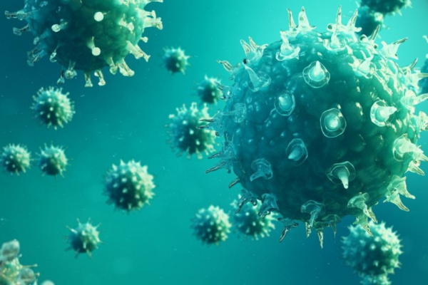 Здоровье: Угроза распространения коронавируса в России сведена к минимуму