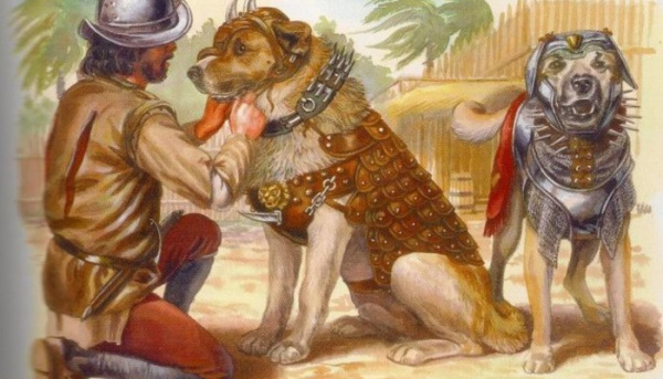 История: Оружие конкистадоров - боевые собаки