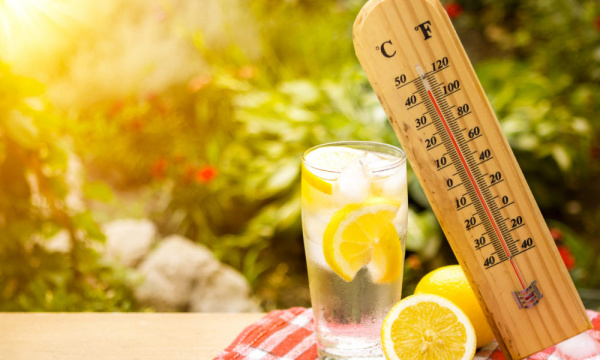 Полезные советы: Правила питания в жаркую погоду