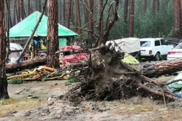 Происшествия: Один человек погиб, четверо пострадали при падении деревьев в палаточном лагере на озере Маслеево в Красноярском крае