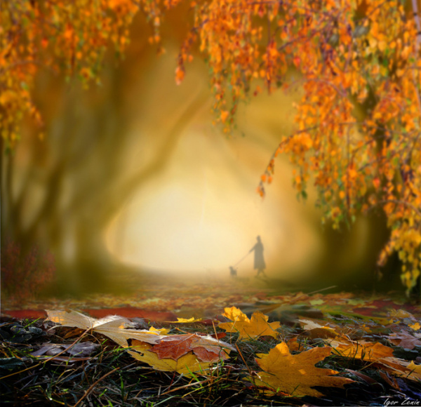 Картинки: Осень