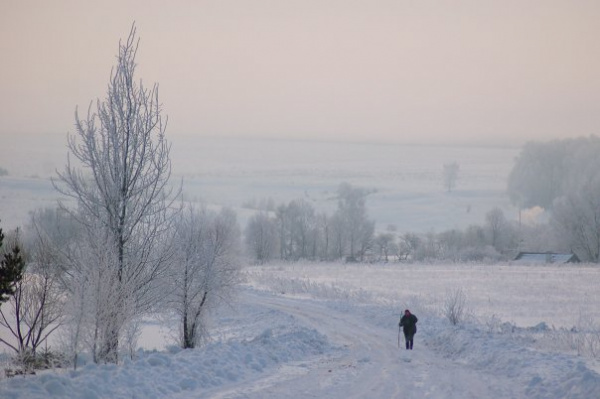Картинки: Деревенская зима
