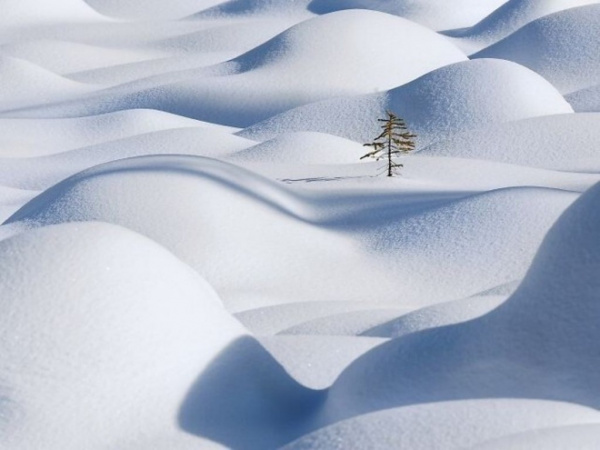 Природа: Снежная красота