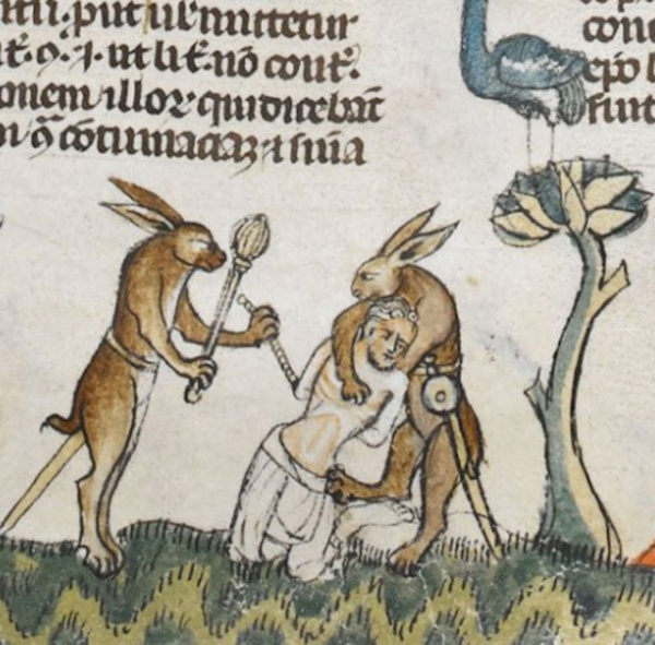 История: Почему на средневековых рисунках зайцы убивают рыцарей?