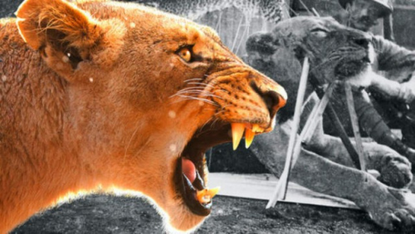 Животные: Людоеды из Цаво: история самого знаменитого в истории противостояния между человеком и львом