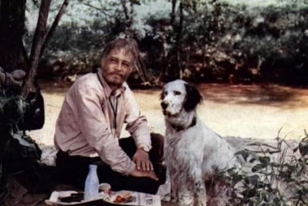 Животные: Сыгравший главную роль в фильме «Белый Бим черной ухо» пёс Стив повторил печальную судьбу своего киногероя Бима