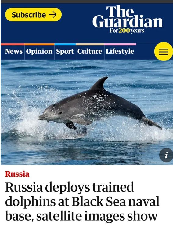Безумный мир: Американцы рассмотрели со спутников российских *боевых дельфинов* :-)