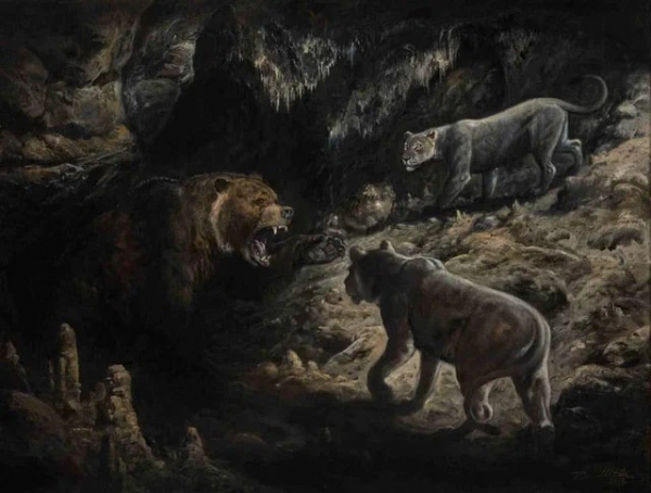 Животные: Пещерный медведь