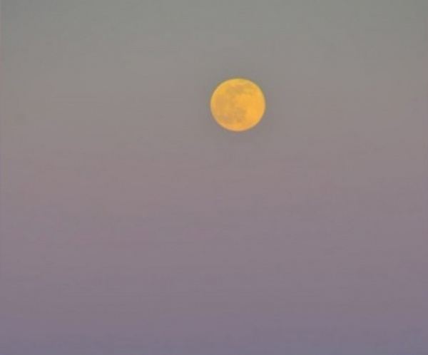 Природа: Сегодня ночью над Землей взошла Охотничья Луна