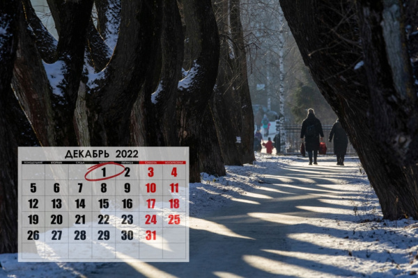 Общество: Что изменится в России с 1 декабря
