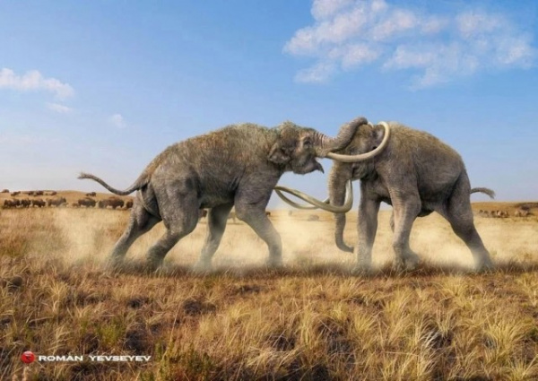 Животные: Мамонт Колумба: один из крупнейших слонов в истории планеты