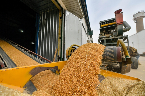 Новости: Зерновая сделка прекращена
