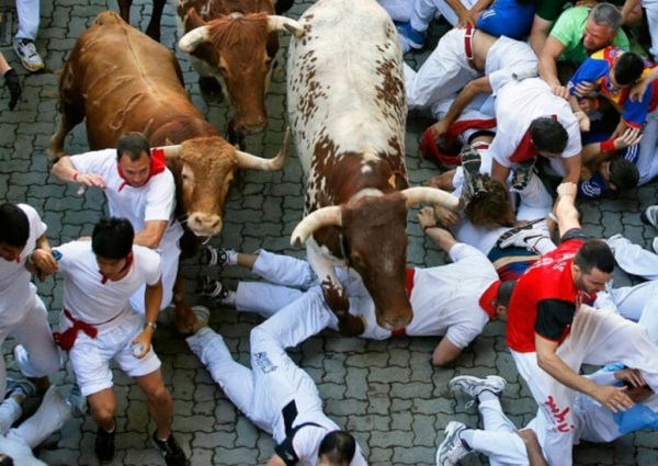 Интересное: Зачем люди в Испании бегают от быков: история праздника Сан-Фермин